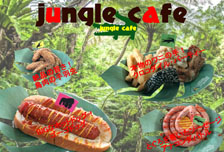 ジャングルカフェ